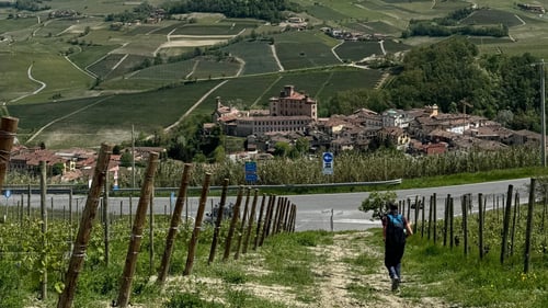 What It’s Like to Hike the Barolo Hills: Wine, Views, and Quiet Trails