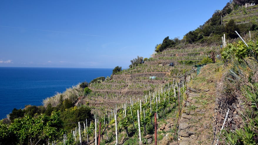 Cinque Terre