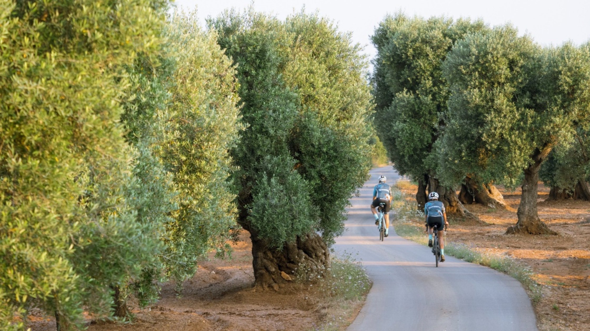 Cycling in Puglia 
