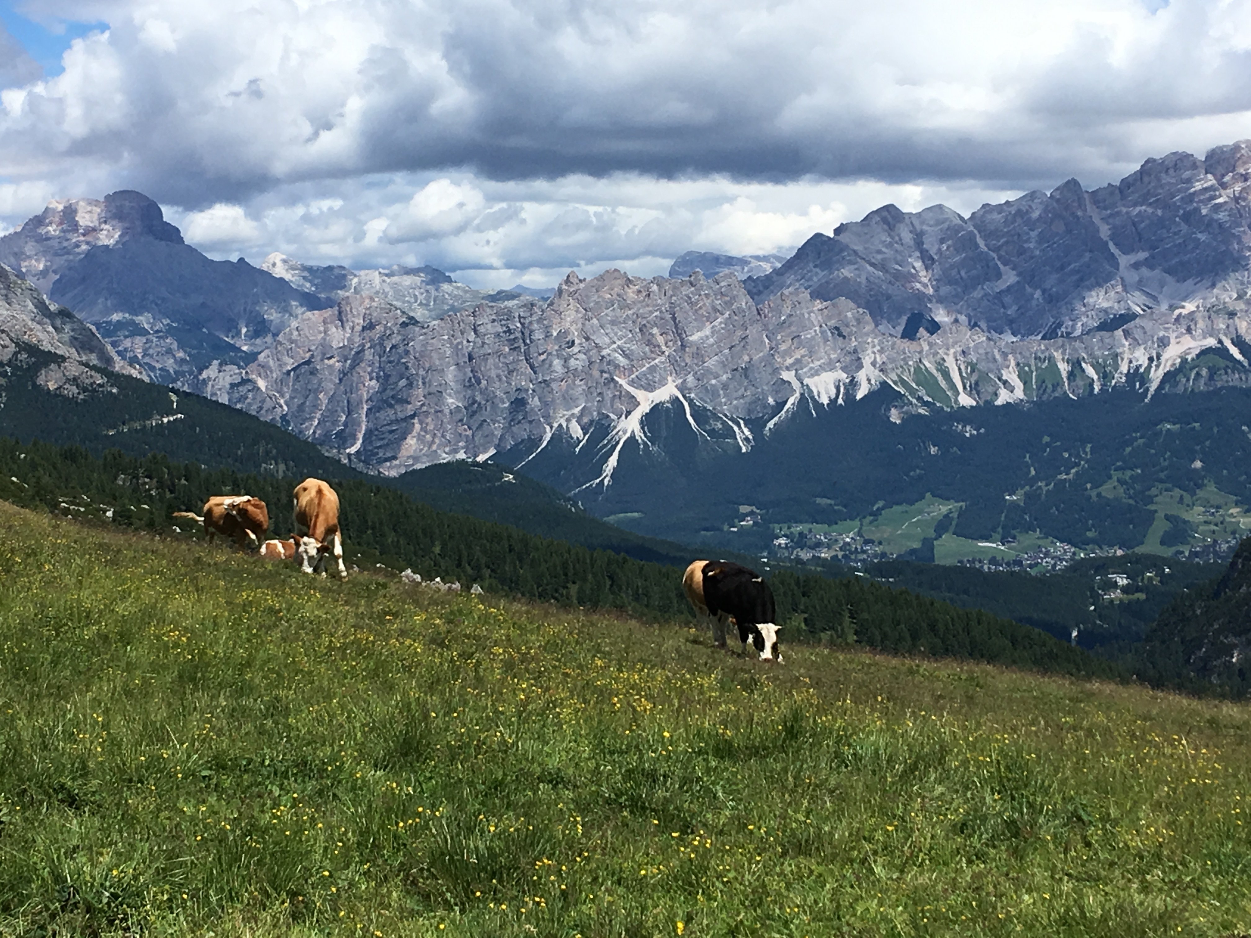 Visit the Dolomites