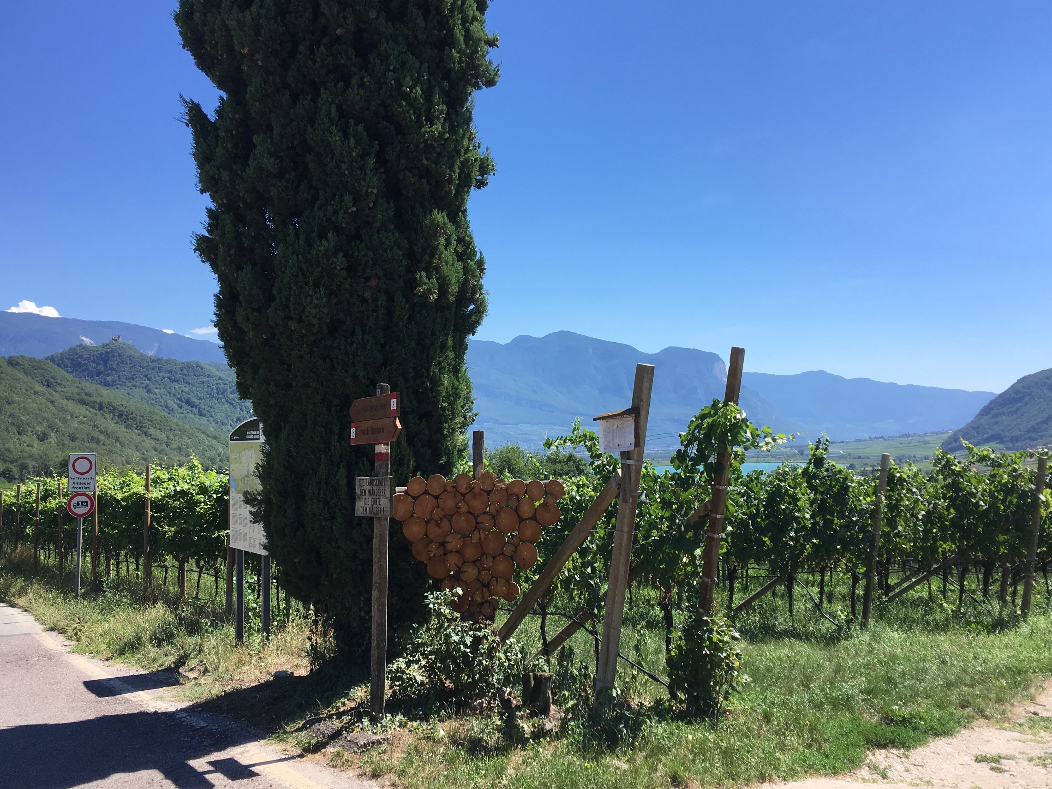 Dolomites Wine