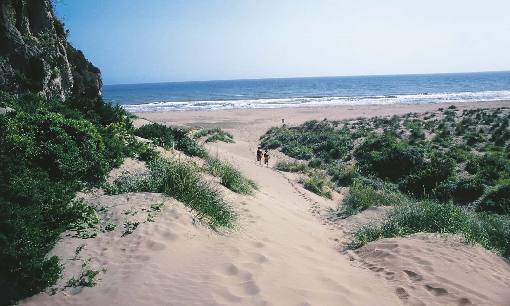 Maremma_dunes