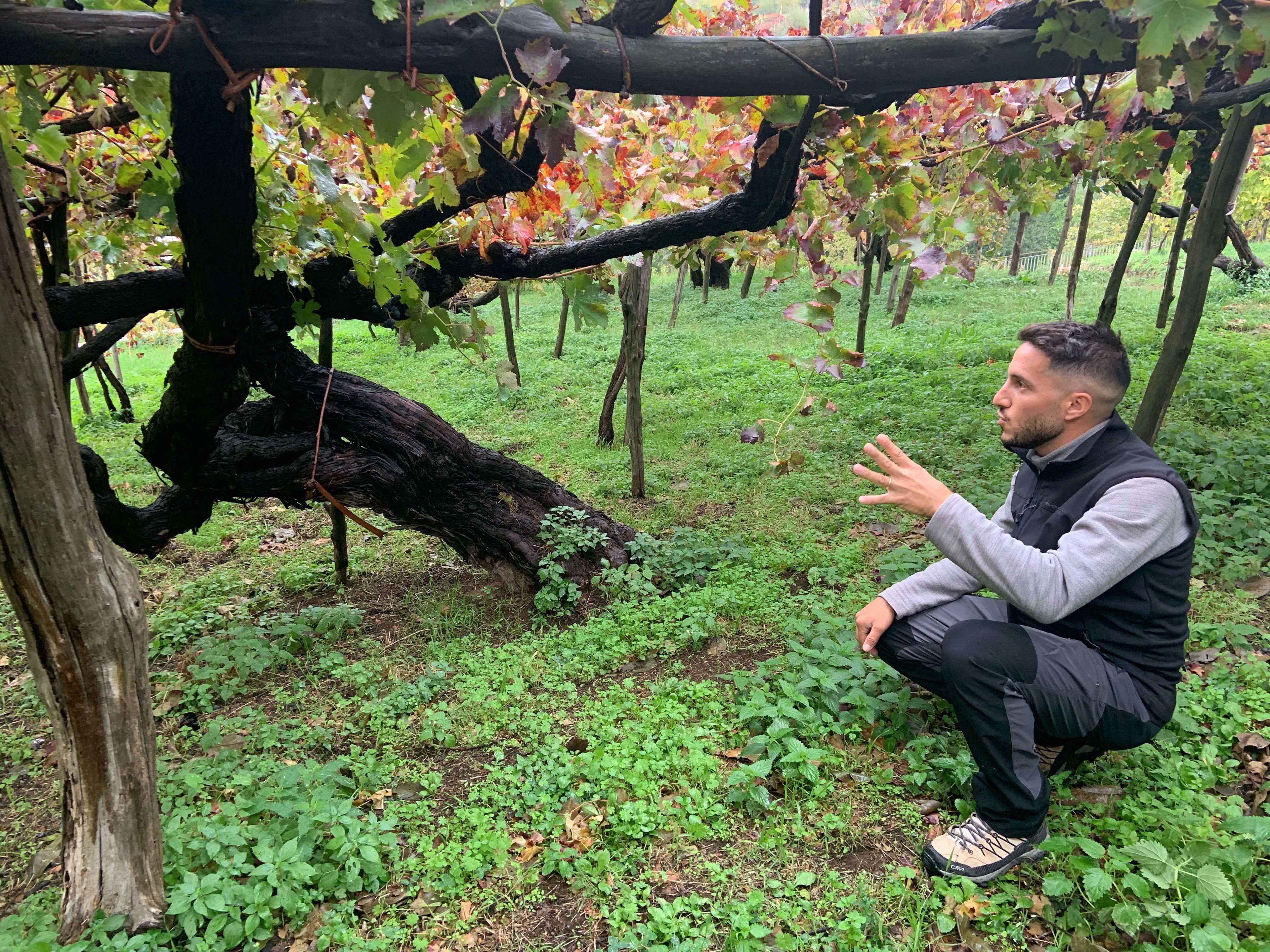 Wine Tramonti Amalfi Coast