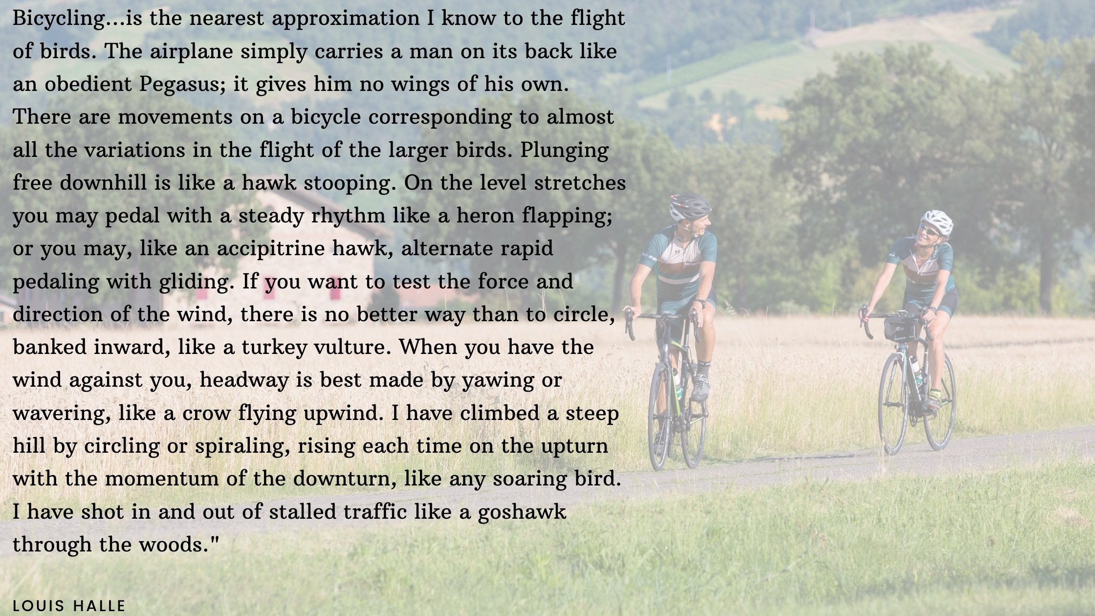 Cycling Quotes Halle