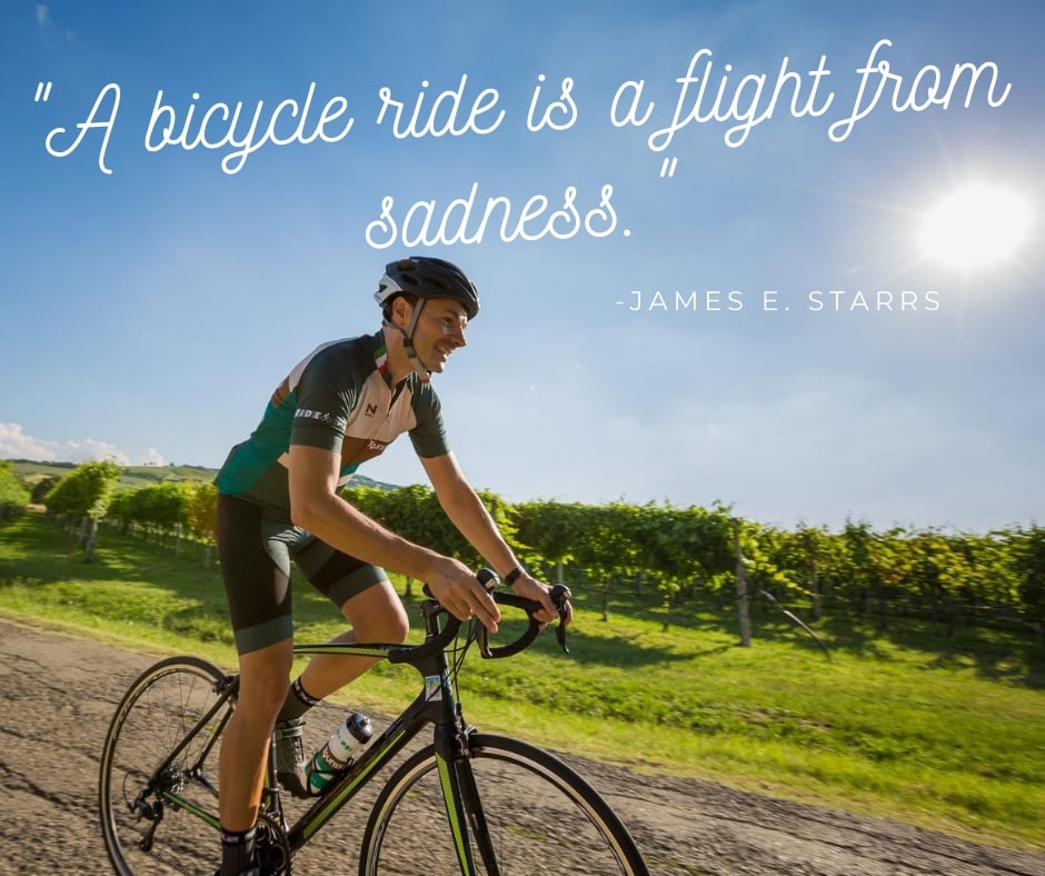 Cycling Quotes Starrs