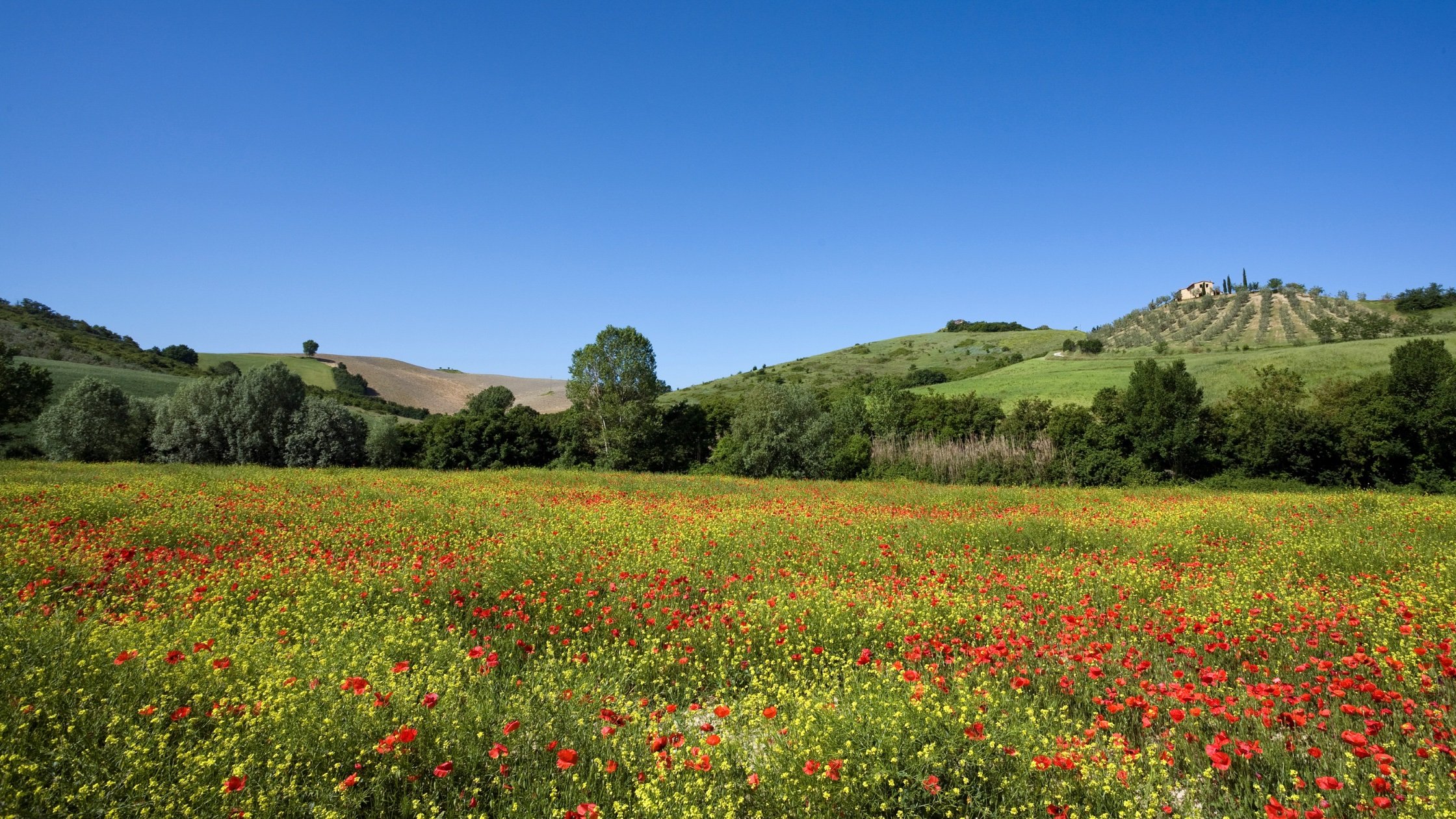 Spring in Italy, Cycling in Italy