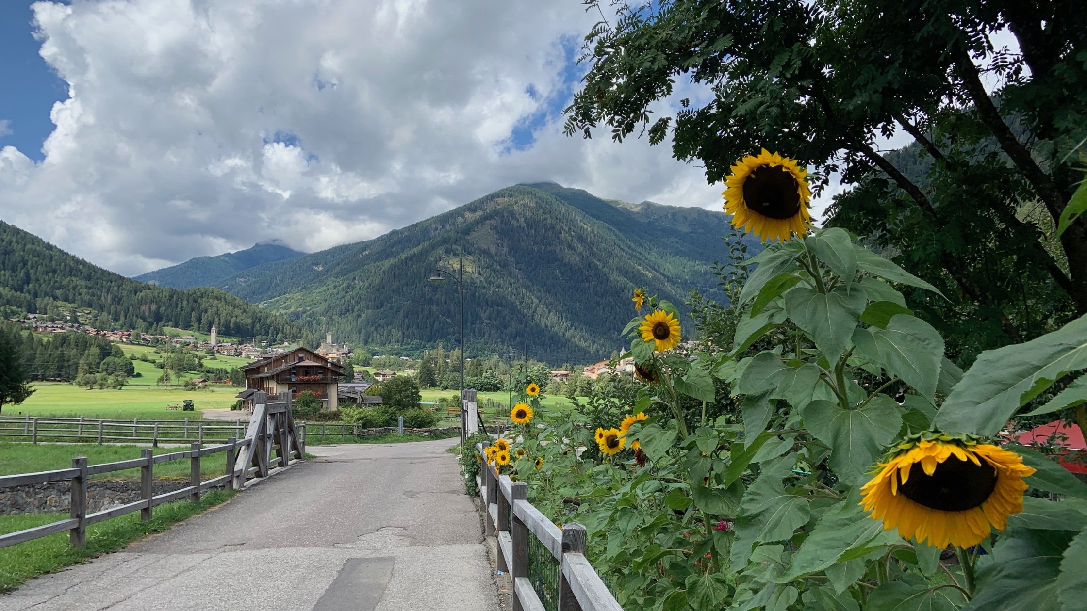 Cycling in Italy