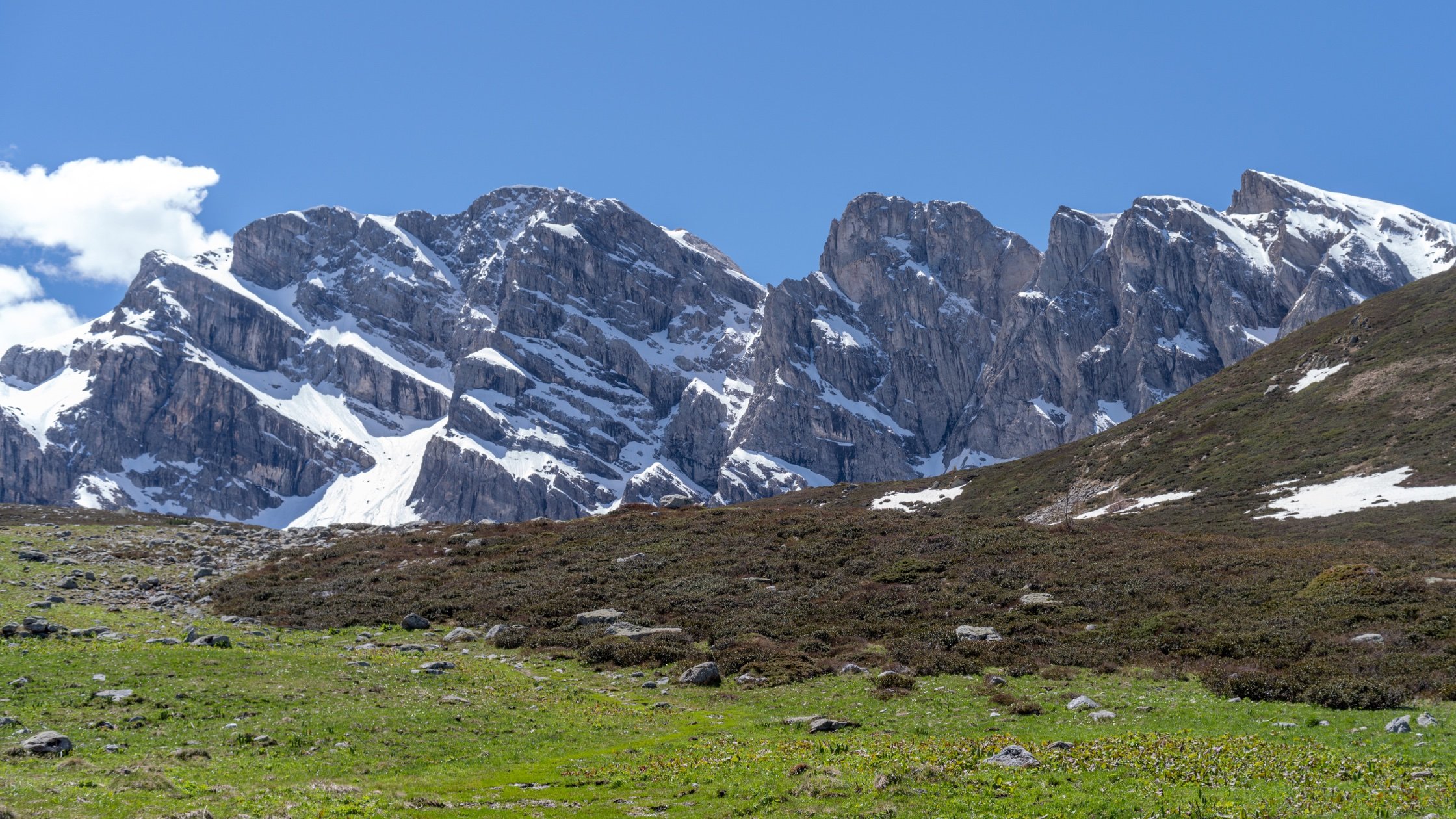 Alps Piedmont