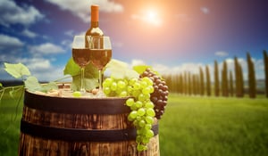 All Codes of Wine