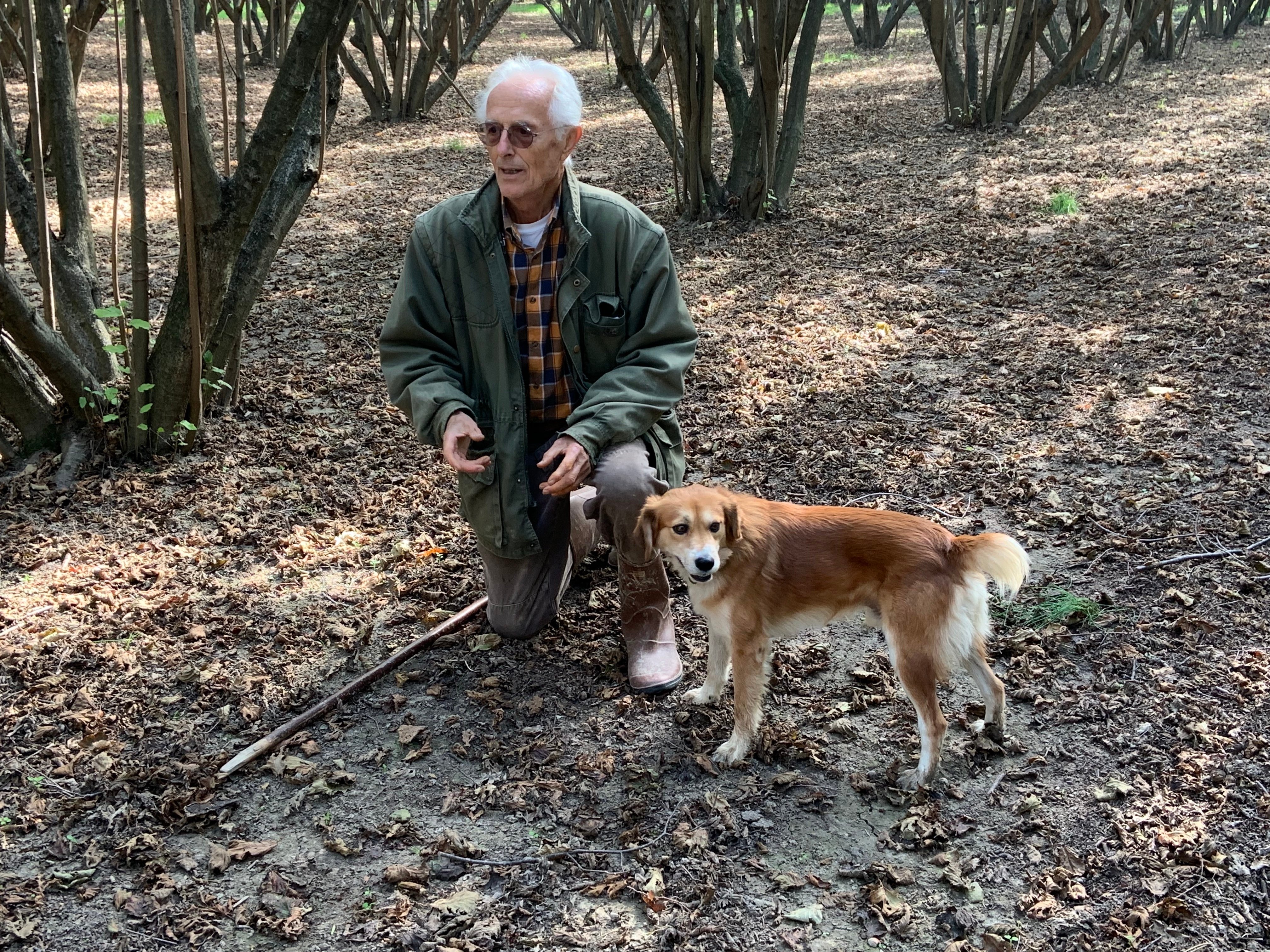 Truffle Hunting Hike Piedmont