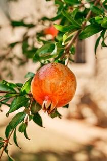 Tourissimo_D3_FRN03412-1-2