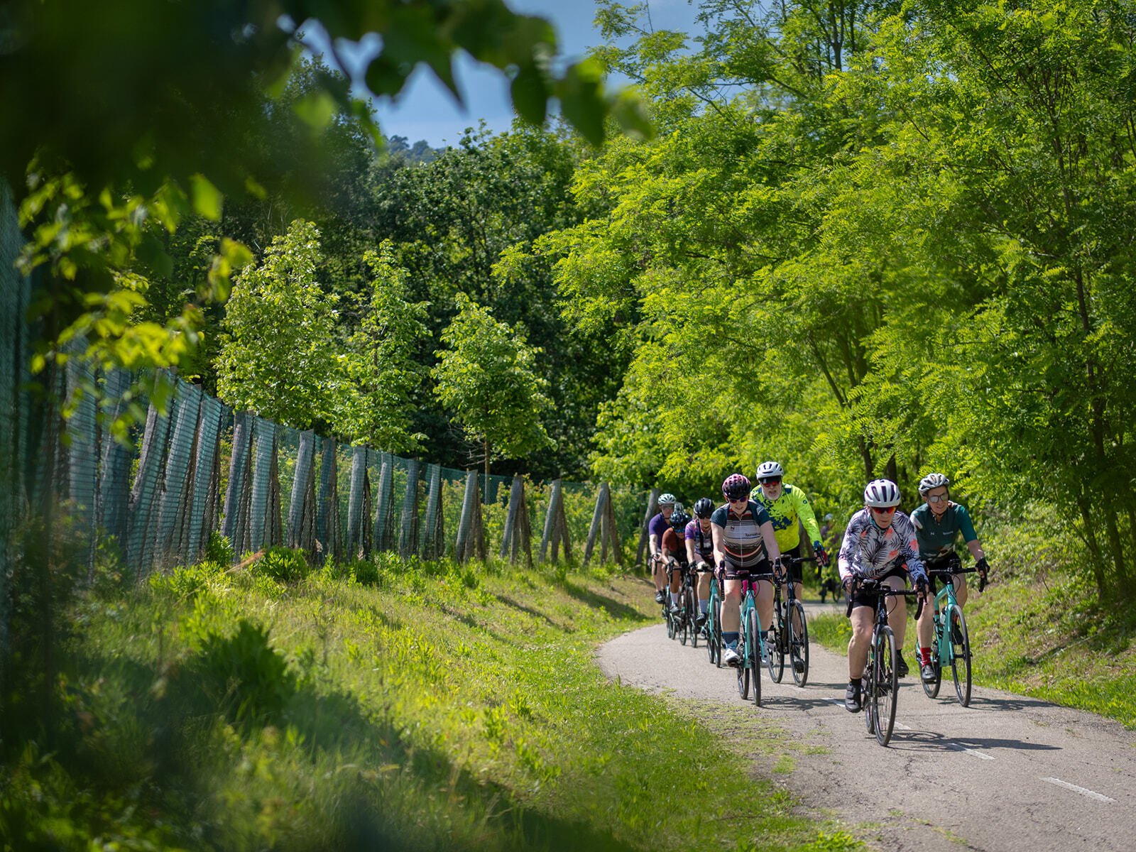 group size matters on a bike tour in italy