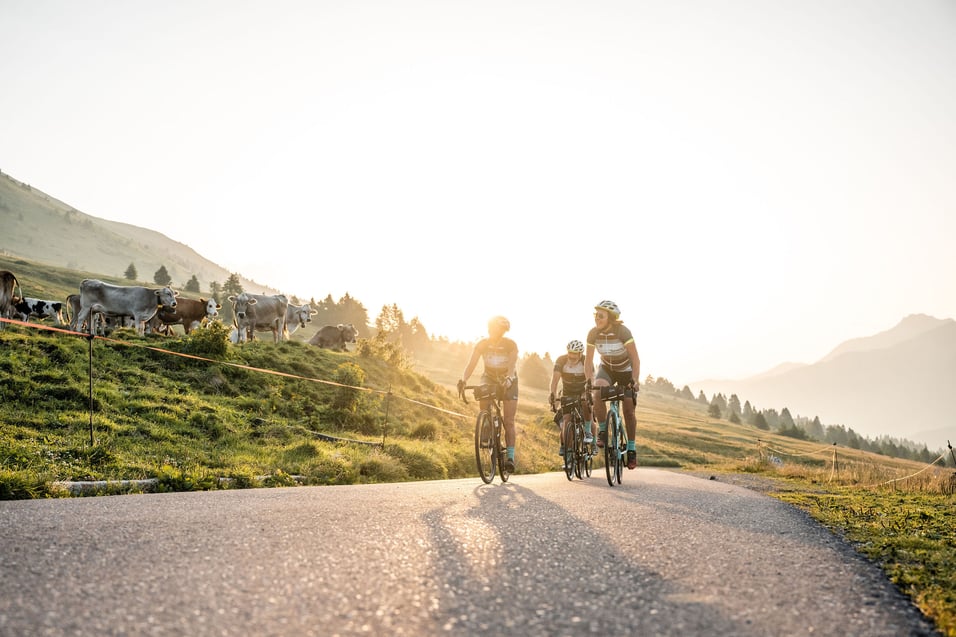 Tourissimo-ValdiSole_GPH_86