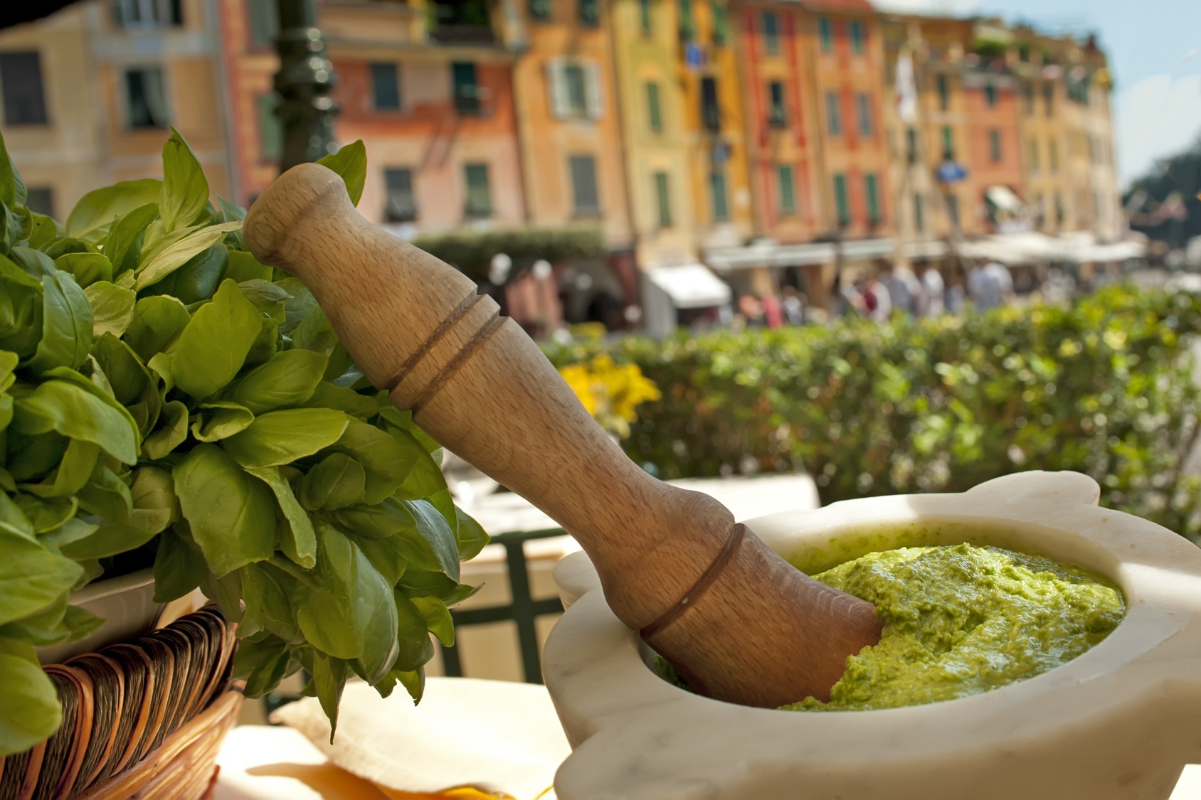 pesto sauce from traditional Italian cuisine