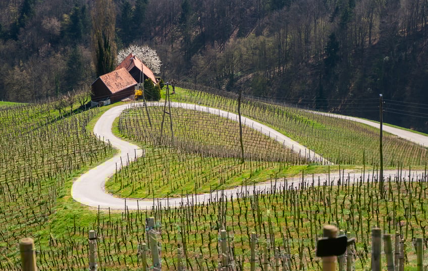 Slovenia Bike Tour