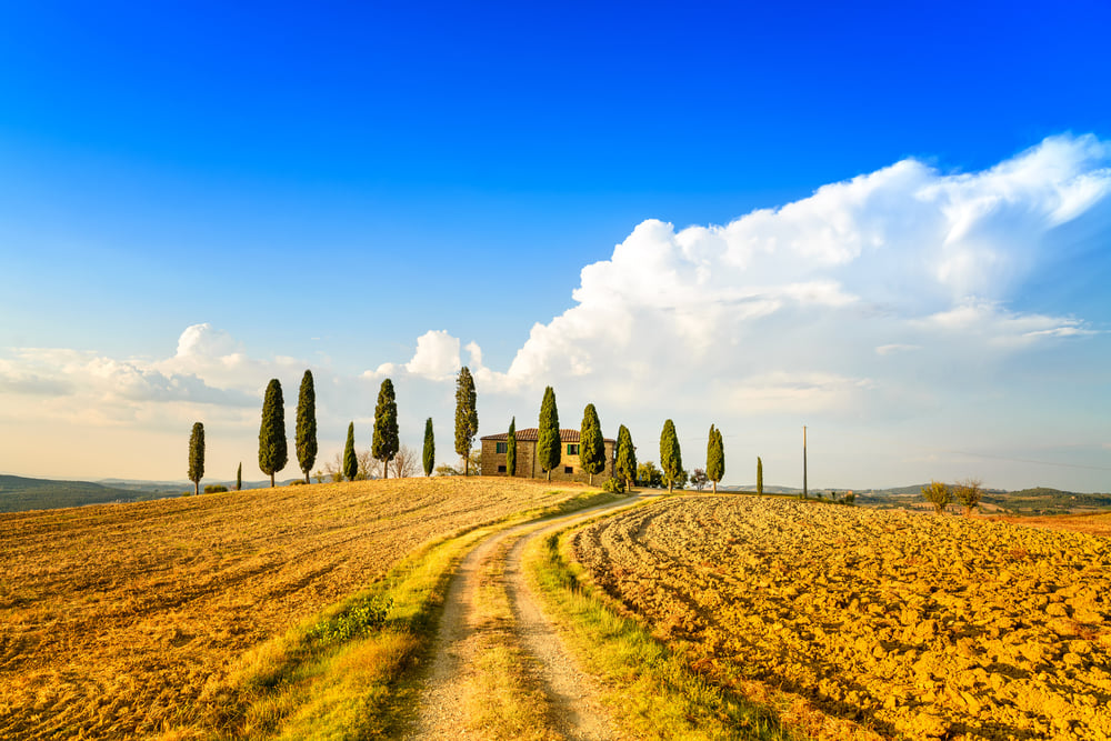 Tuscany_countryside_Bike_Tour_Tourissimo_Italy