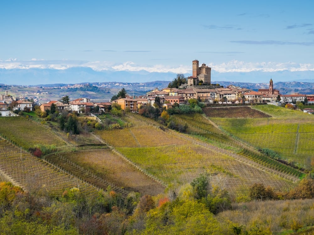View Piedmont wine area web