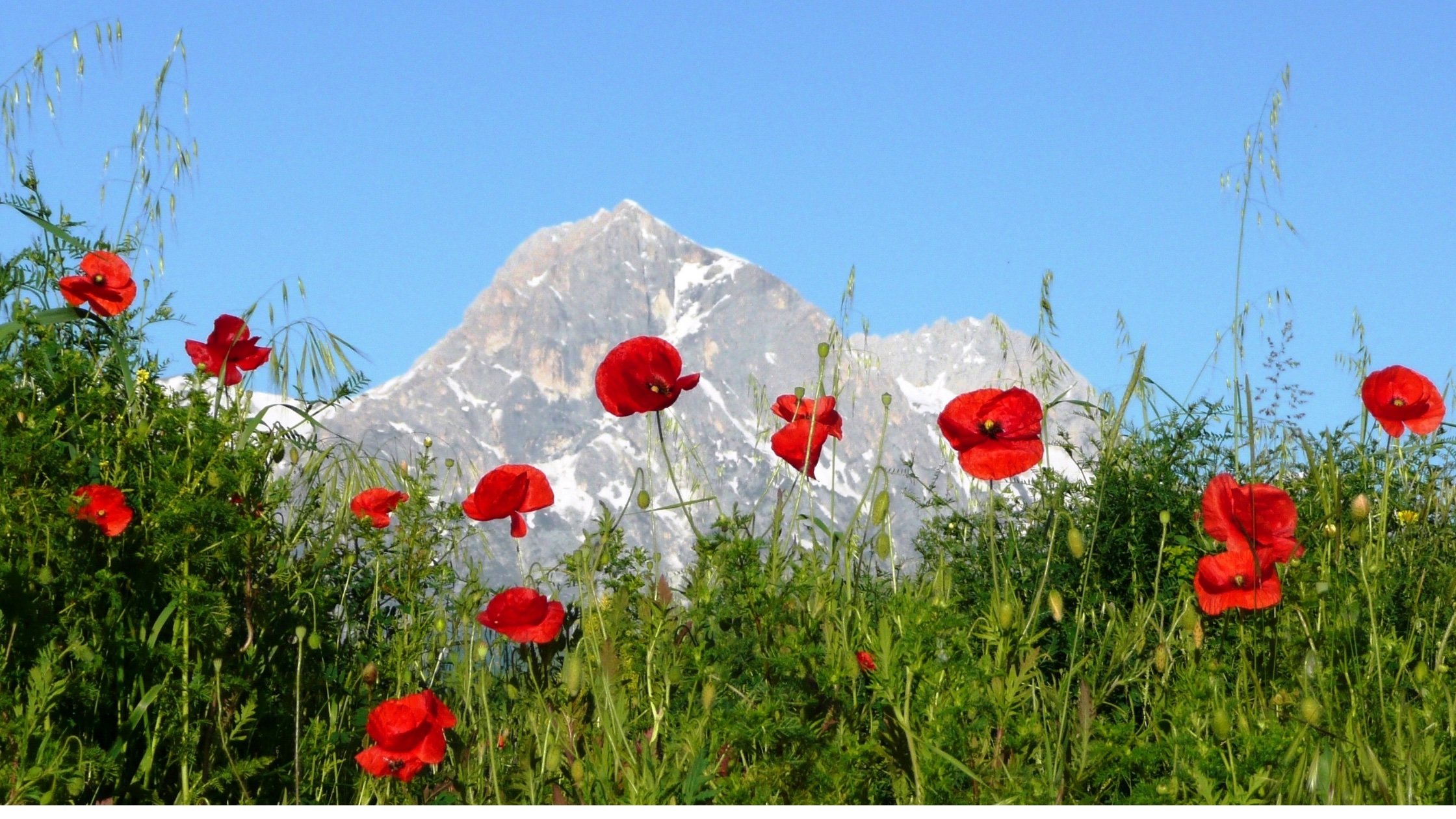 Cycling in Italy in the Spring