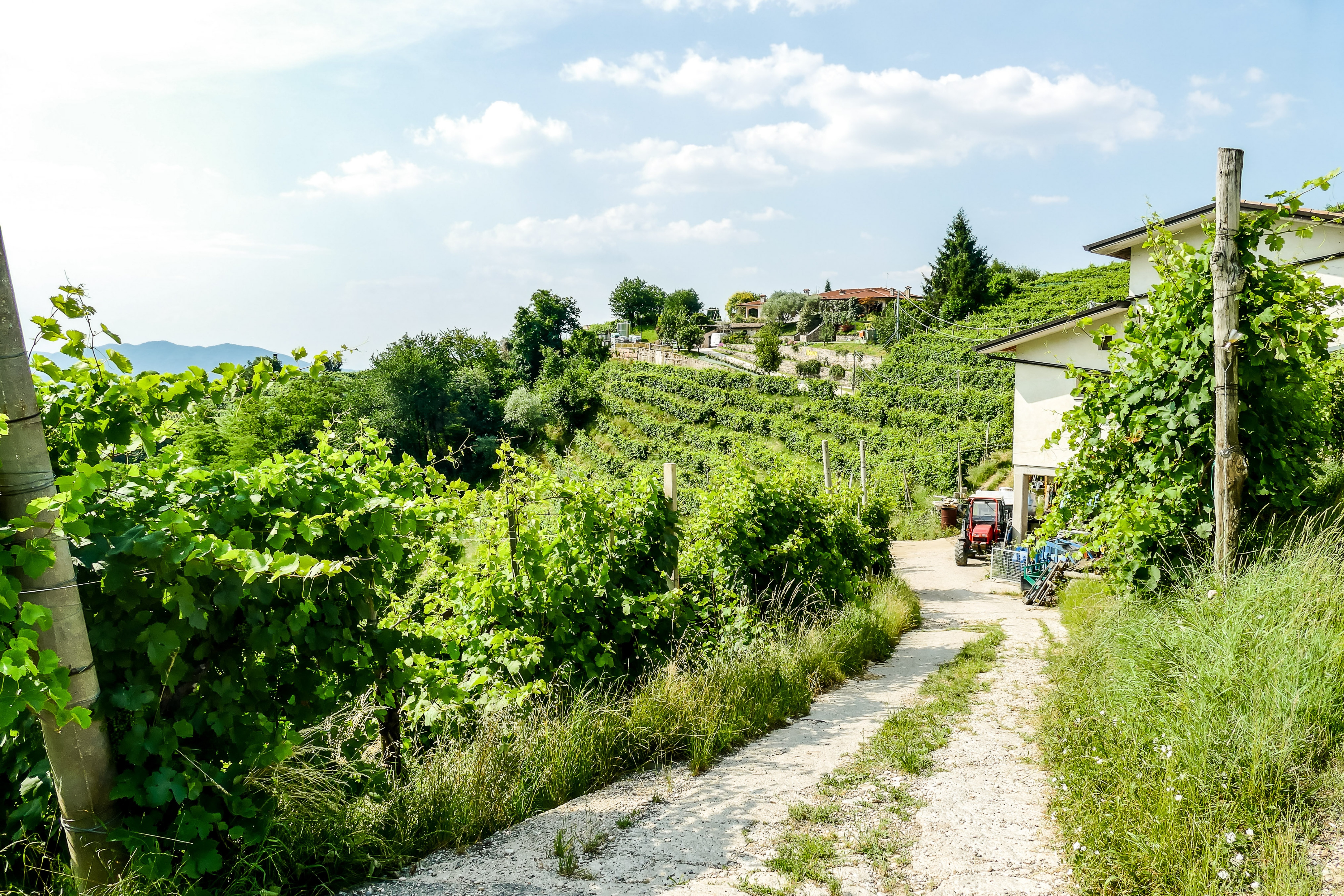 Prosecco Cycling