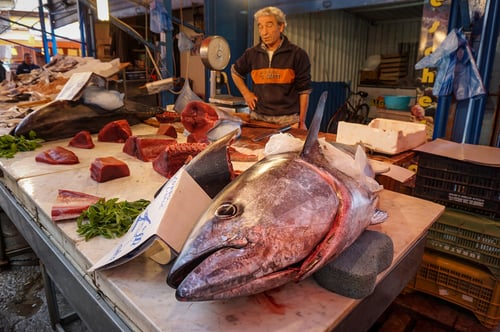 Palermo markets tuna 