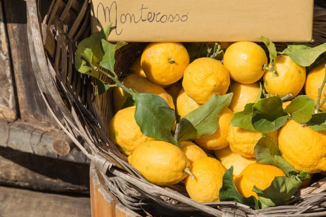 limoni_cinque_terre