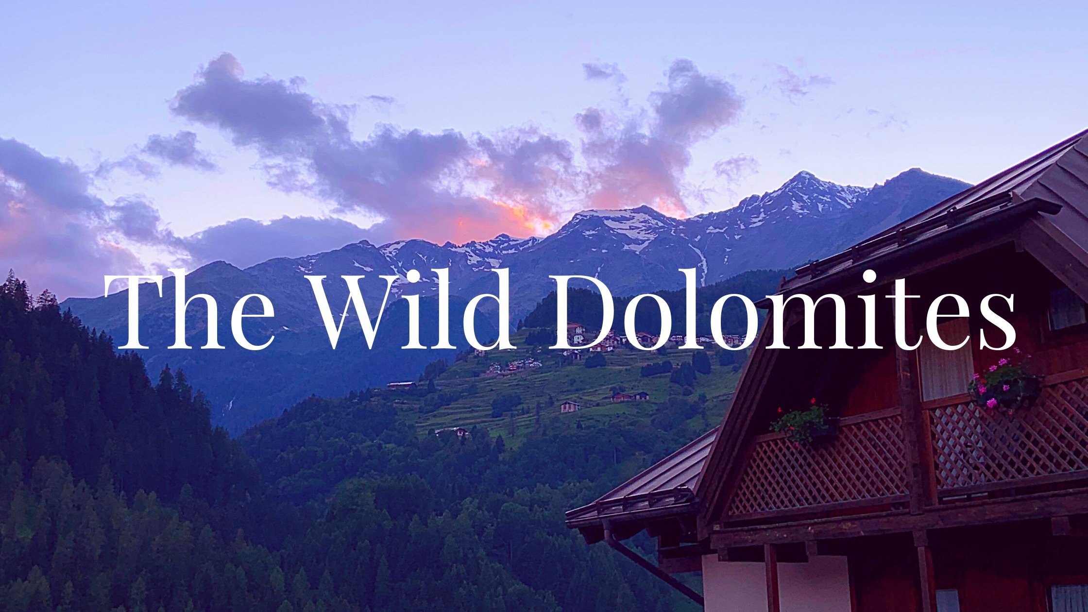 Wild Dolomites Blog