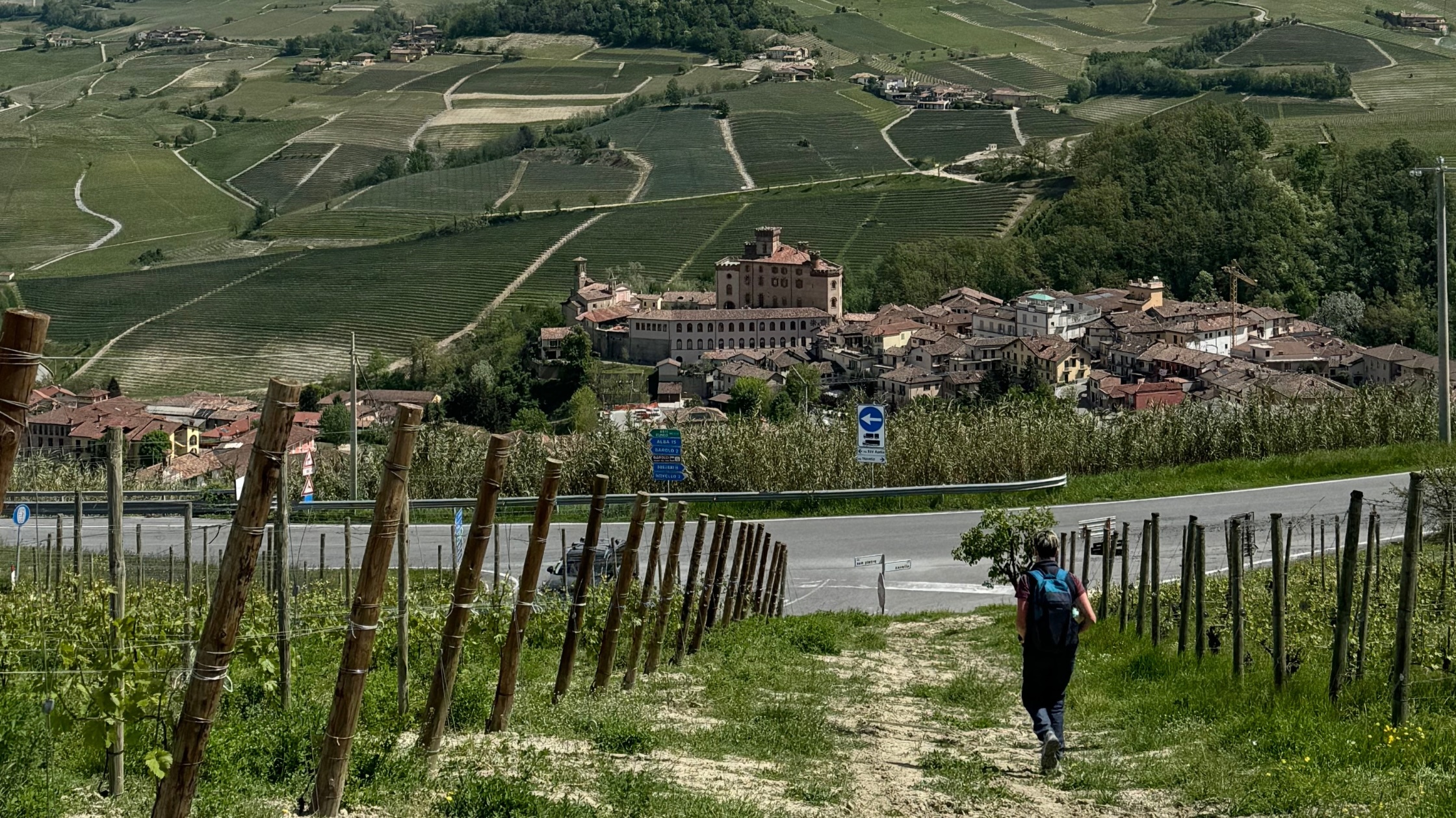 What It’s Like to Hike the Barolo Hills: Wine, Views, and Quiet Trails