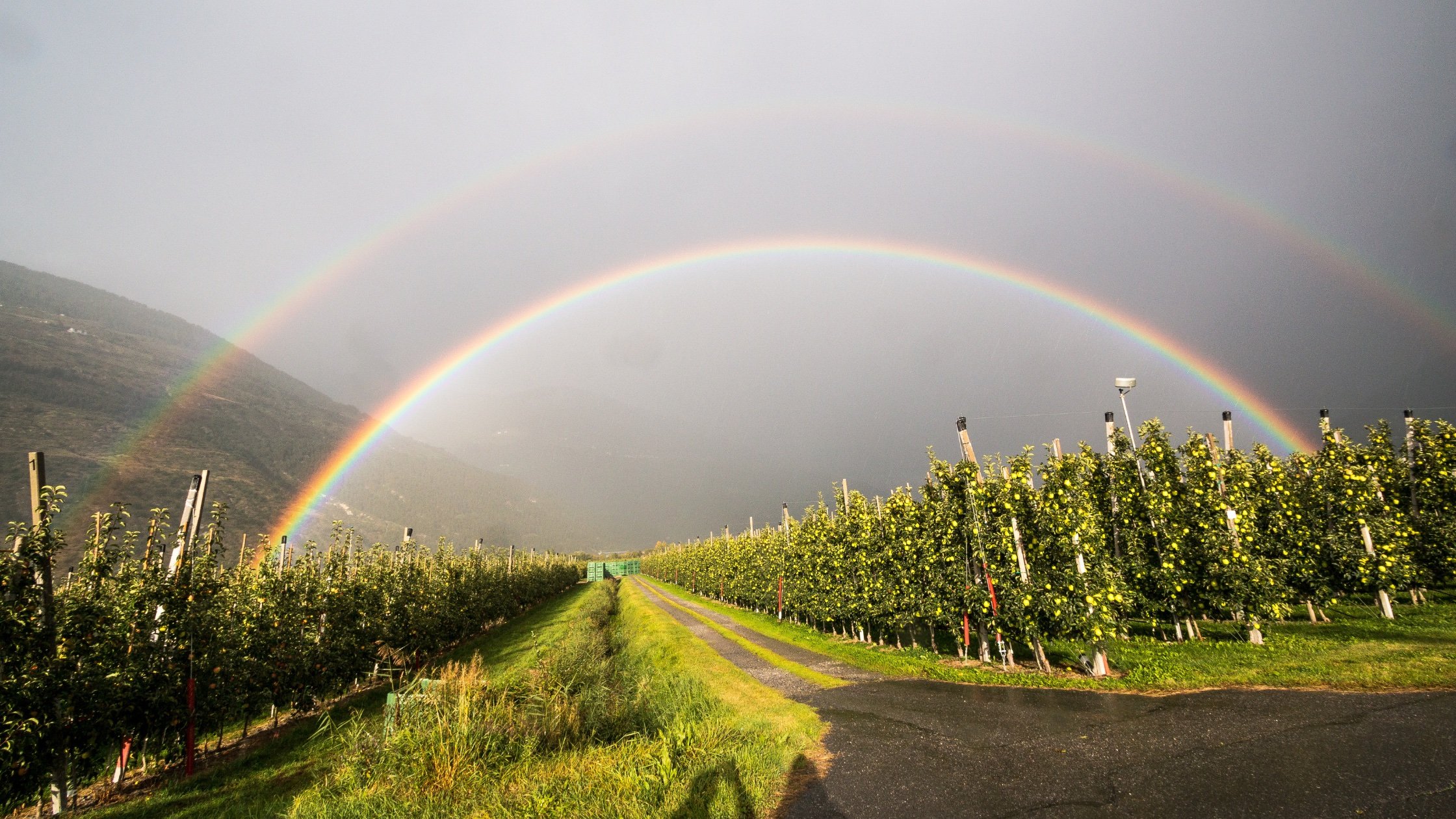 What happens if it rains during my bike tour?