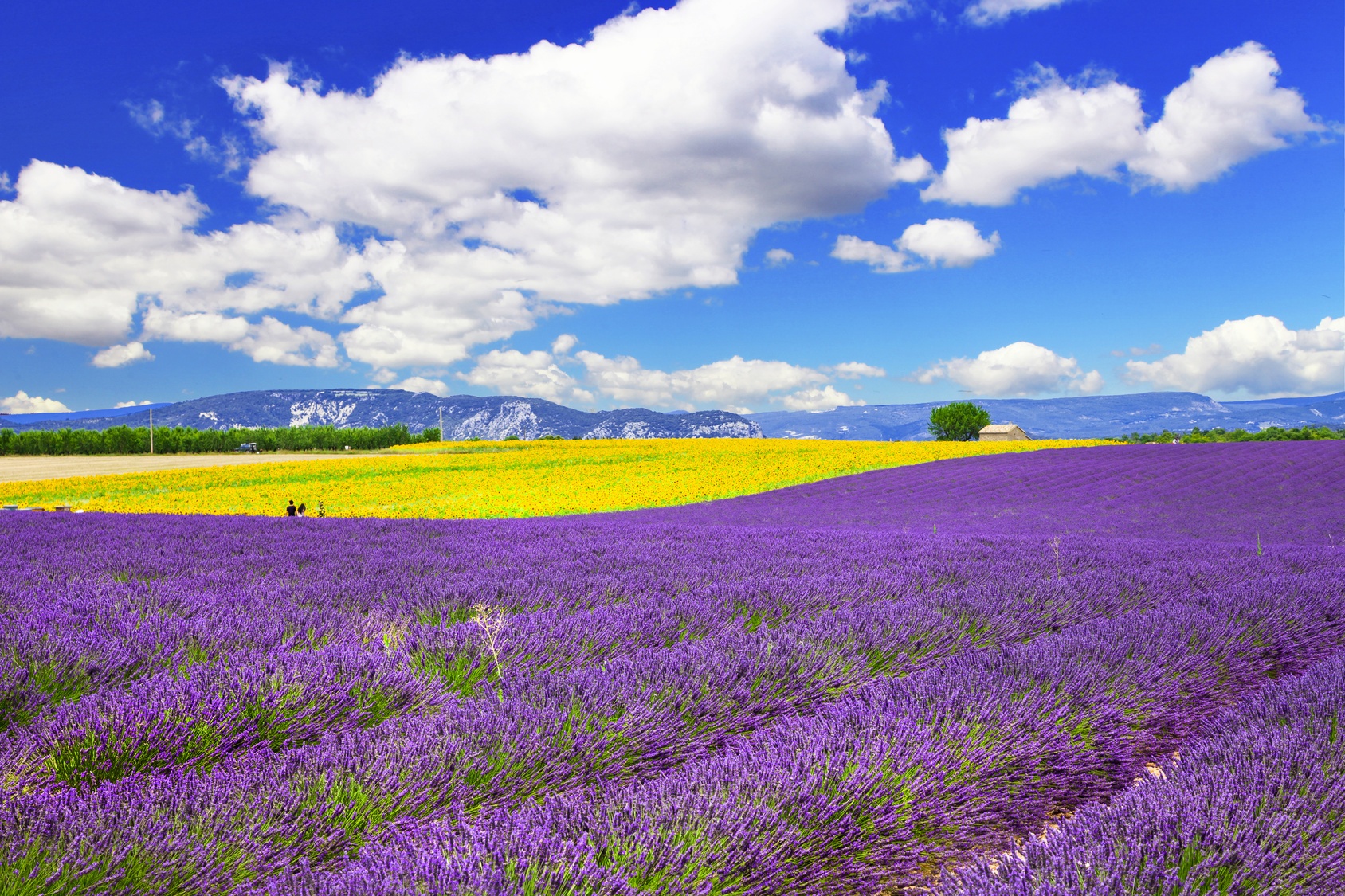 Provence - Les Plus Beaux Villages | Cycle Tours By Tourissimo